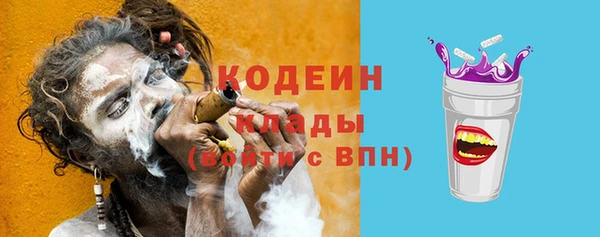 прущие грибы Ачинск