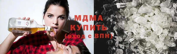 прущие грибы Ачинск