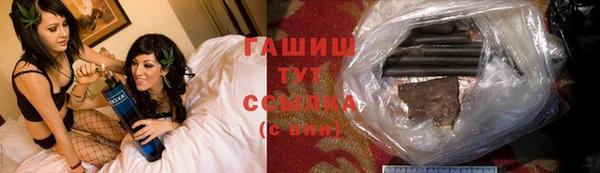 прущие грибы Ачинск