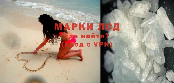 прущие грибы Ачинск