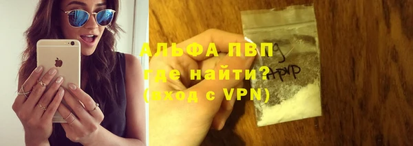 прущие грибы Ачинск
