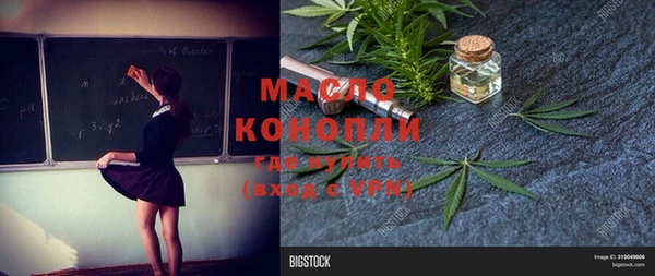 прущие грибы Ачинск