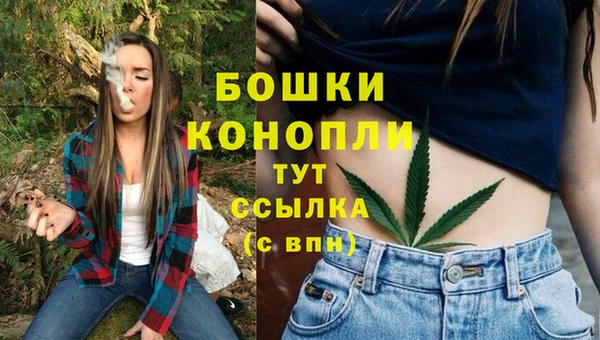 прущие грибы Ачинск