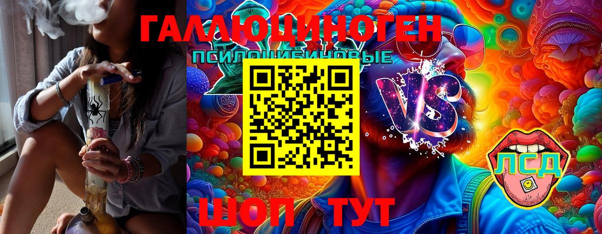 Псилоцибиновые грибы Psilocybine cubensis  Вход с VPN  Анжеро-Судженск 