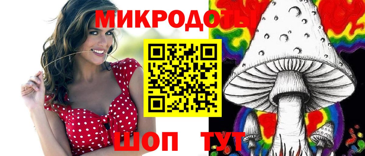 Псилоцибиновые грибы Cubensis Анжеро-Судженск