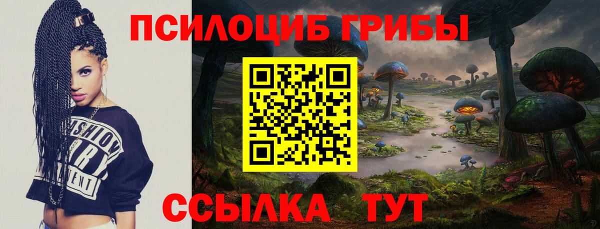 Галлюциногенные грибы Psilocybe  Вход с VPN  Анжеро-Судженск 