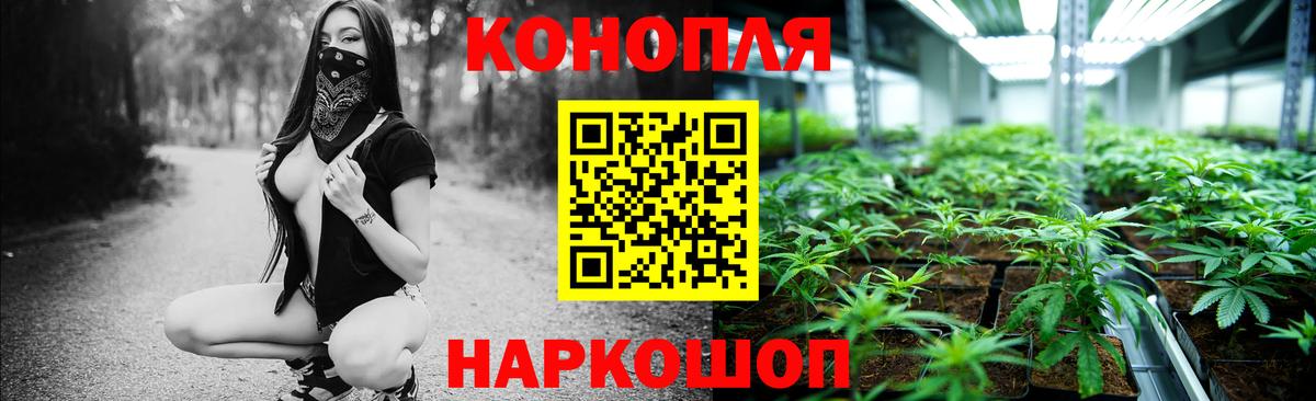 Каннабис ГИДРОПОН  Марихуана Ganja  Анжеро-Судженск  Бошки Шишки сатива  Конопля планчик 